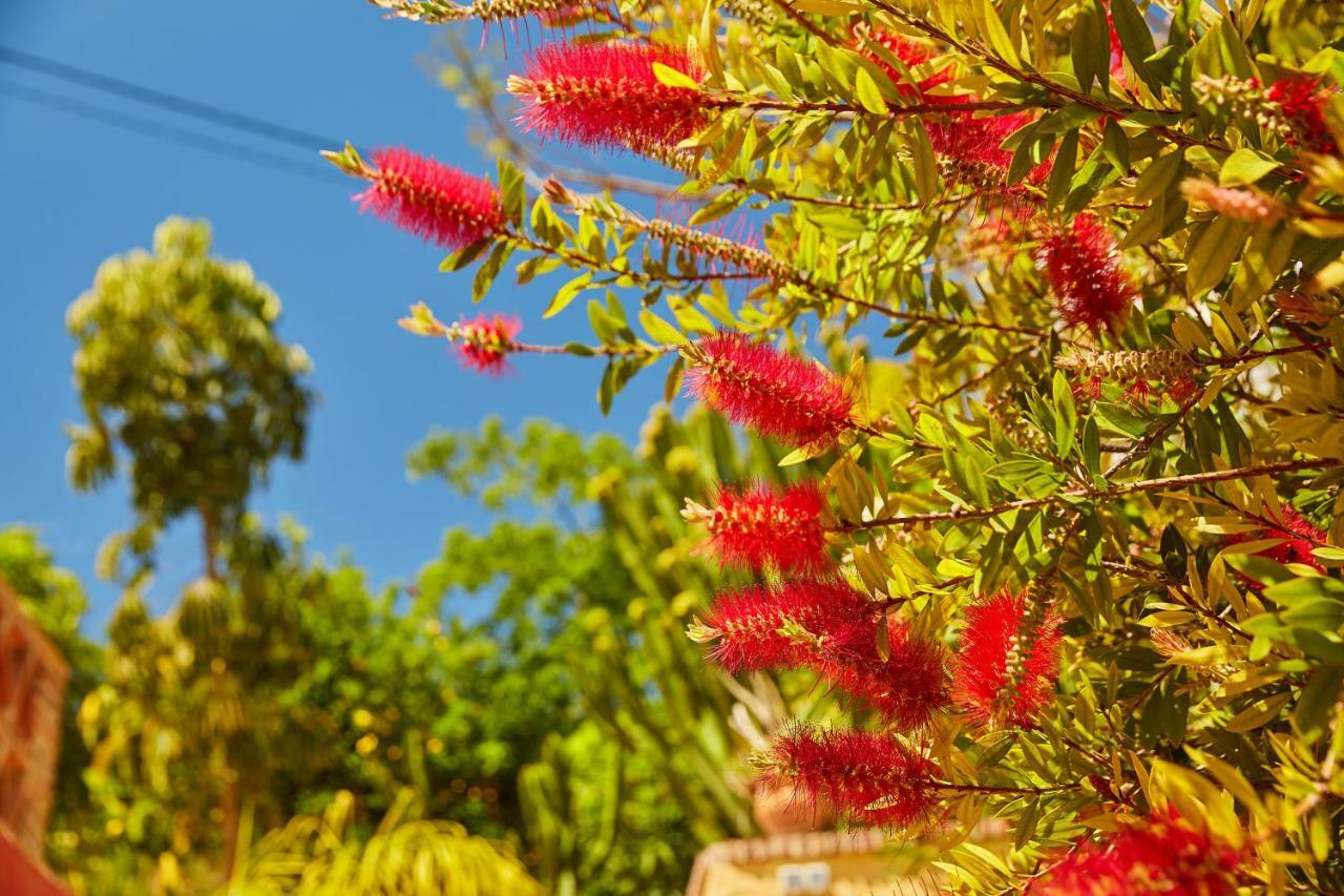 Apartmán Finca Fenix Alora Exteriér fotografie